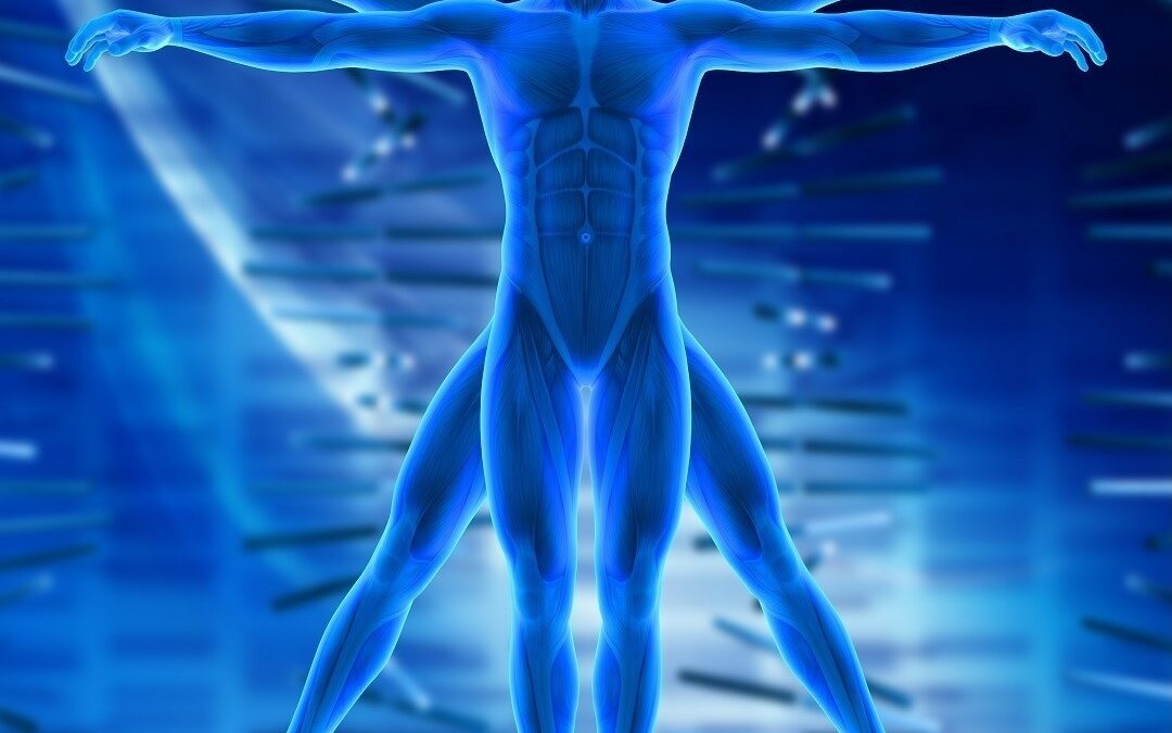 Het Thoracic Outlet Compression Syndroom (TOCS): Het Belang van Keten-Denken bij het stellen van de Diagnose en de Behandeling ervan.