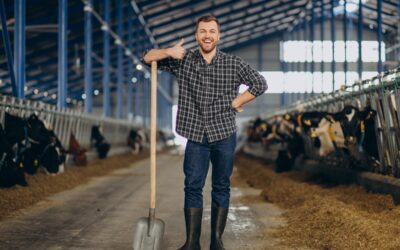 Fysiotherapie en manuele therapie op de boerderij
